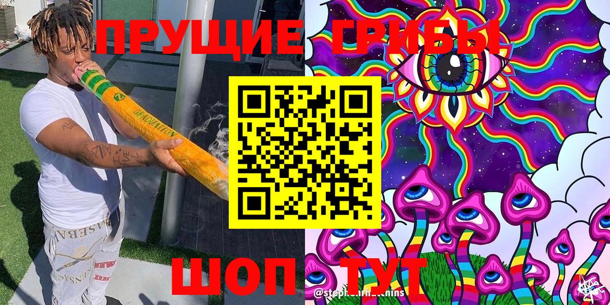 Галлюциногенные грибы Psilocybine cubensis Балаково