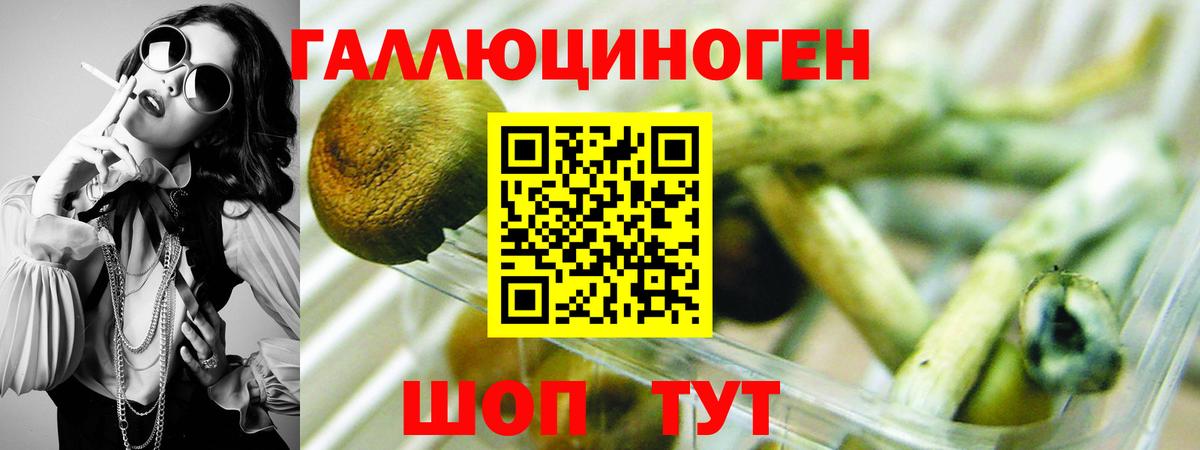 Псилоцибиновые грибы Psilocybe  Вход с VPN  купить наркотики цена  Балаково 